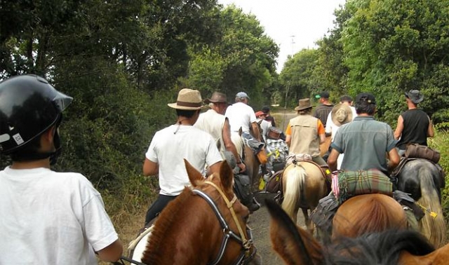 de marcha con los caballos